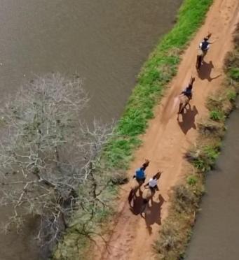 Fazenda Boa Esperanca Hotell Florestal Eksteriør bilde